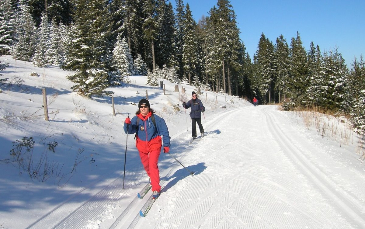 Ski de fond